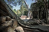 Ta Prohm temple - west gallery of the 3rd enclosure, corner pavillon 